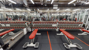 Cheap Gym Trainers