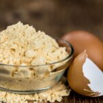 GCC Egg Powder Market