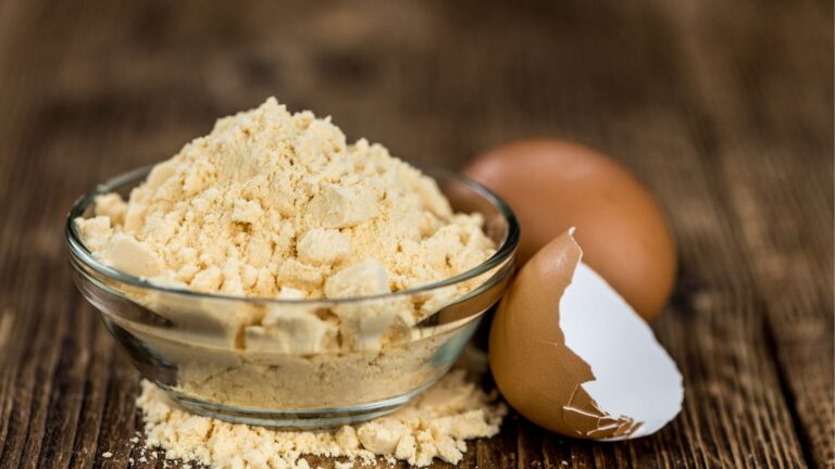 GCC Egg Powder Market