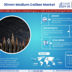 Global 30mm Medium Caliber Market Research Report Forecast (2024-2030)