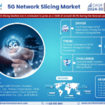 Global 5G Network Slicing Market Research Report Forecast (2024-2030)