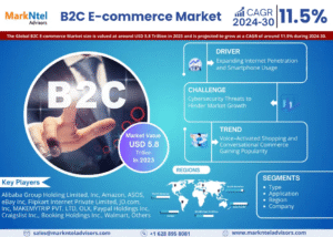 Global B2C E-commerce Market Research Report Forecast (2024-2030)