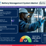 Global Battery Management System Market Research Report Forecast (2025-2030)