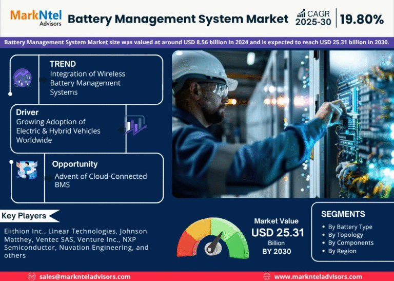 Global Battery Management System Market Research Report Forecast (2025-2030)