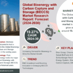Global Bioenergy with Carbon Capture and Storage (BECCS) Market Research Report Forecast (2024-2030)