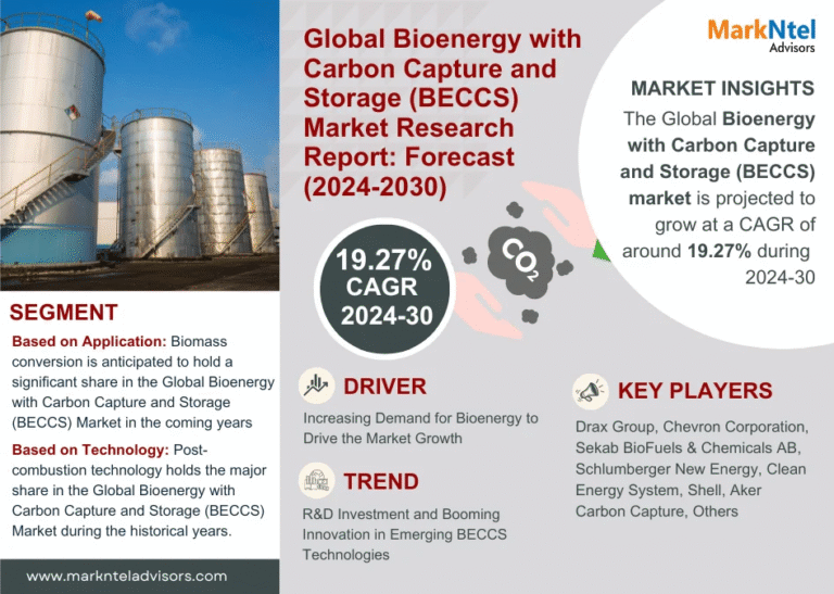 Global Bioenergy with Carbon Capture and Storage (BECCS) Market Research Report Forecast (2024-2030)