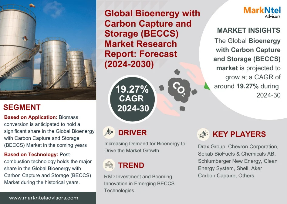 Global Bioenergy with Carbon Capture and Storage (BECCS) Market Research Report Forecast (2024-2030)