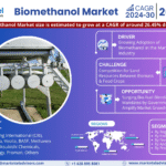 Global Biomethanol Market Research Report Forecast (2024-2030)