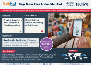 Global Buy Now Pay Later Market Research Report Forecast (2025-2030)