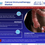Global Cancer Immunotherapy Market Research Report Forecast (2025-2030)