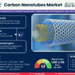 Global Carbon Nanotubes Market Research Report Forecast (2025-2030)