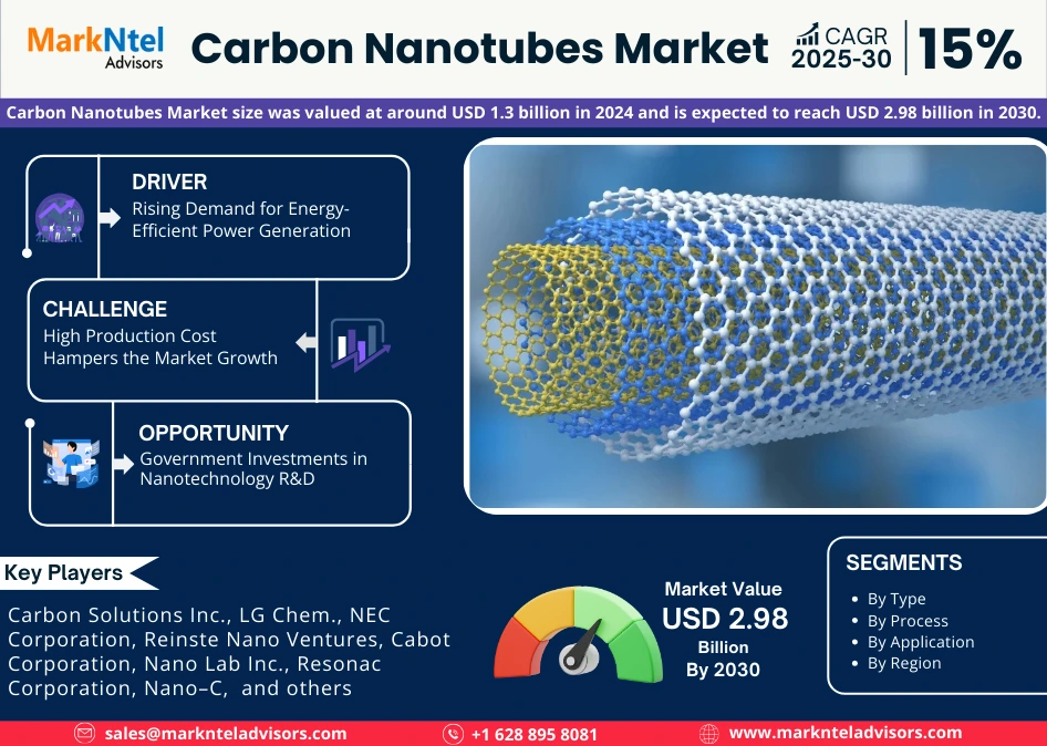 Global Carbon Nanotubes Market Research Report Forecast (2025-2030)