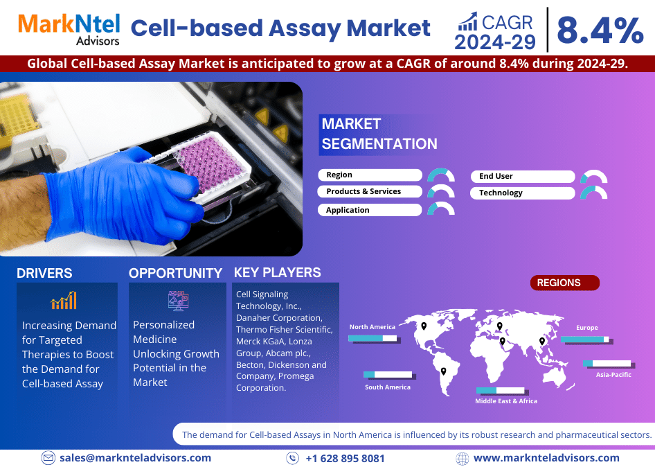 Global Cell-based Assay Market Research Report Forecast (2024-2029)