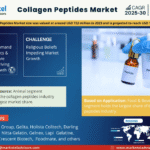 Global Collagen Peptides Market Research Report Forecast (2025-2030)