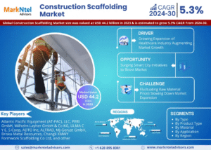 Global Construction Scaffolding Market Research Report Forecast (2024-2030)