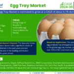 Global Egg Tray Market Research Report Forecast (2024-2030)