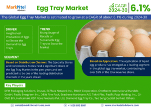 Global Egg Tray Market Research Report Forecast (2024-2030)