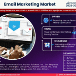 Global Email Marketing Market Research Report Forecast (2025-2030)