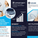Global Endoscopic Ultrasound Needles Market Research Report Forecast (2025-2030)