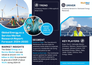 Global Energy as a Service Market Research Report Forecast (2024-2030)