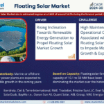 Global Floating Solar Market Research Report Forecast (2025-2030)