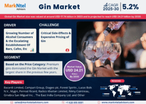 Global Gin Market Research Report Forecast (2025-2030)