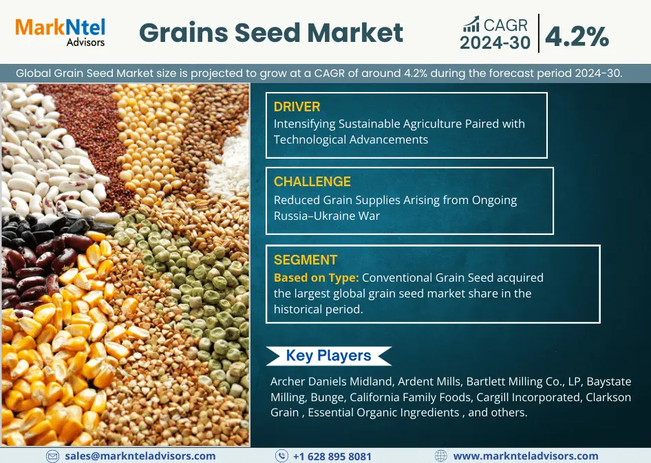 Global Grain Seed Market Research Report Forecast (2024-2030)