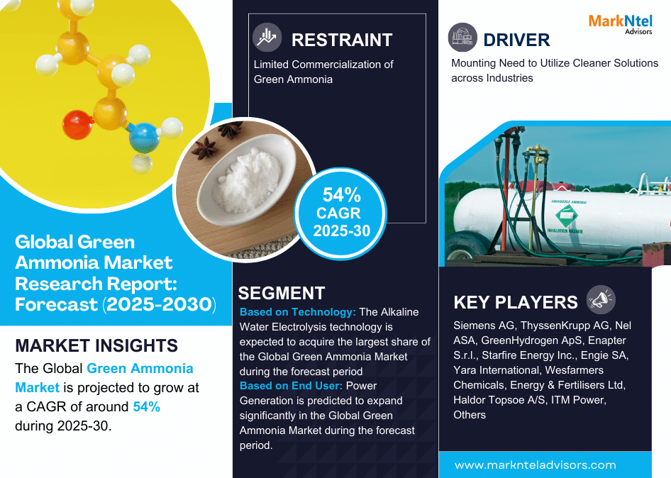 Global Green Ammonia Market Research Report Forecast (2025-2030)