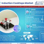 Global Induction Cooktops Market Research Report Forecast (2024-2030)