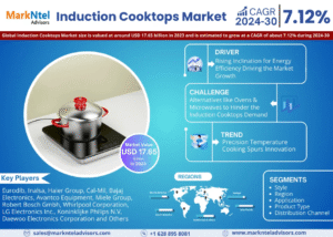 Global Induction Cooktops Market Research Report Forecast (2024-2030)