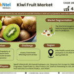 Global Kiwi Fruit Market Research Report Forecast (2025-2030)