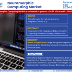 Global Neuromorphic Computing Market Research Report Forecast (2024-2030)