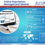 Global Online Reputation Management Market Research Report Forecast (2024-2030)