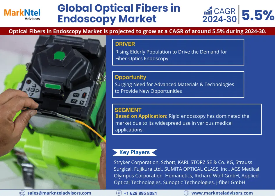 Global Optical Fibers in Endoscopy Market Research Report Forecast (2024-2030)