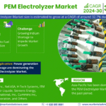 Global PEM Electrolyzer Market Research Report Forecast (2024-2030)