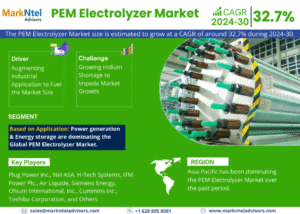 Global PEM Electrolyzer Market Research Report Forecast (2024-2030)