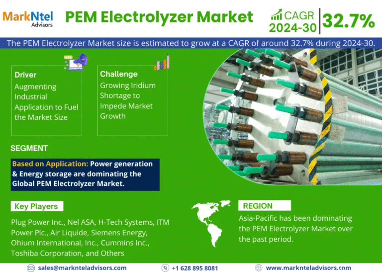Global PEM Electrolyzer Market Research Report Forecast (2024-2030)