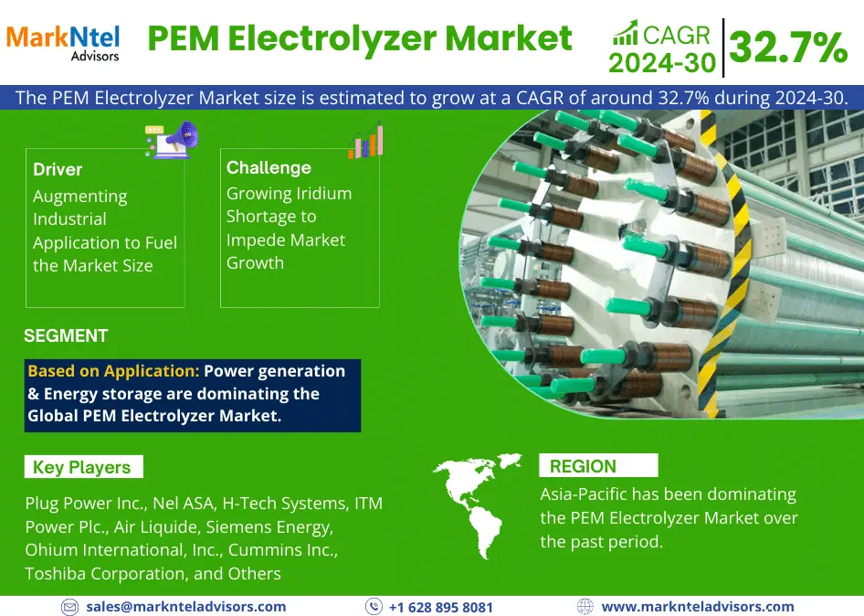 Global PEM Electrolyzer Market Research Report Forecast (2024-2030)