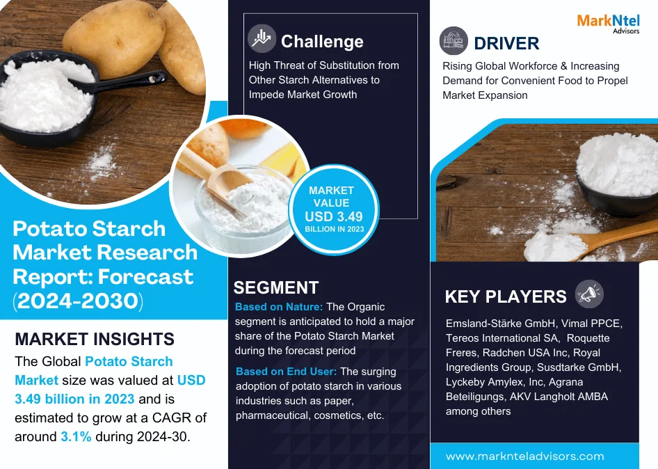 Global Potato Starch Market Research Report Forecast (2024-2030)
