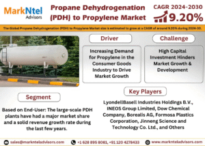 Global Propane Dehydrogenation (PDH) to Propylene Market Research Report Forecast (2024-2030)