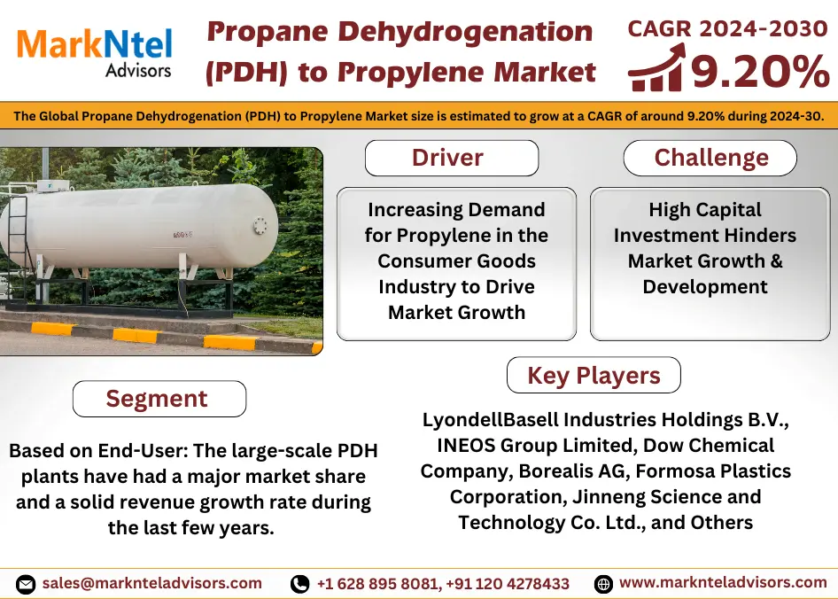 Global Propane Dehydrogenation (PDH) to Propylene Market Research Report Forecast (2024-2030)