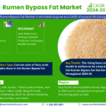 Global Rumen Bypass Fat Market Research Report Forecast (2024-2030)