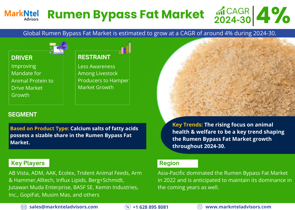 Global Rumen Bypass Fat Market Research Report Forecast (2024-2030)