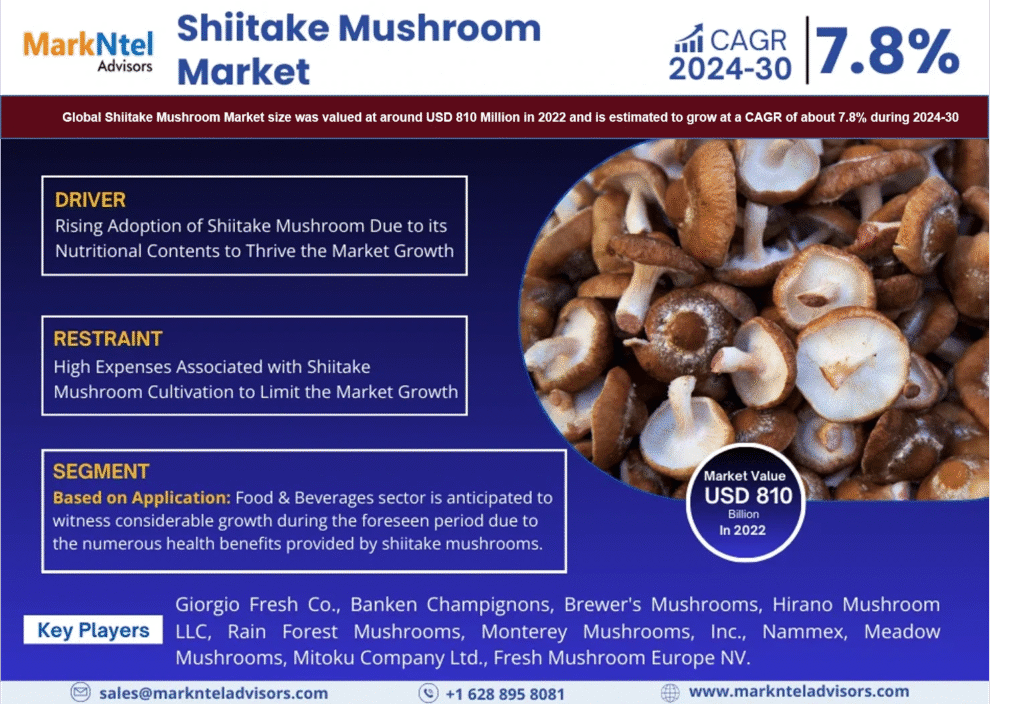 Global Shiitake Mushroom Market Research Report Forecast (2024-2030)
