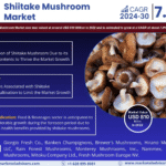 Global Shiitake Mushroom Market Research Report Forecast (2024-2030)