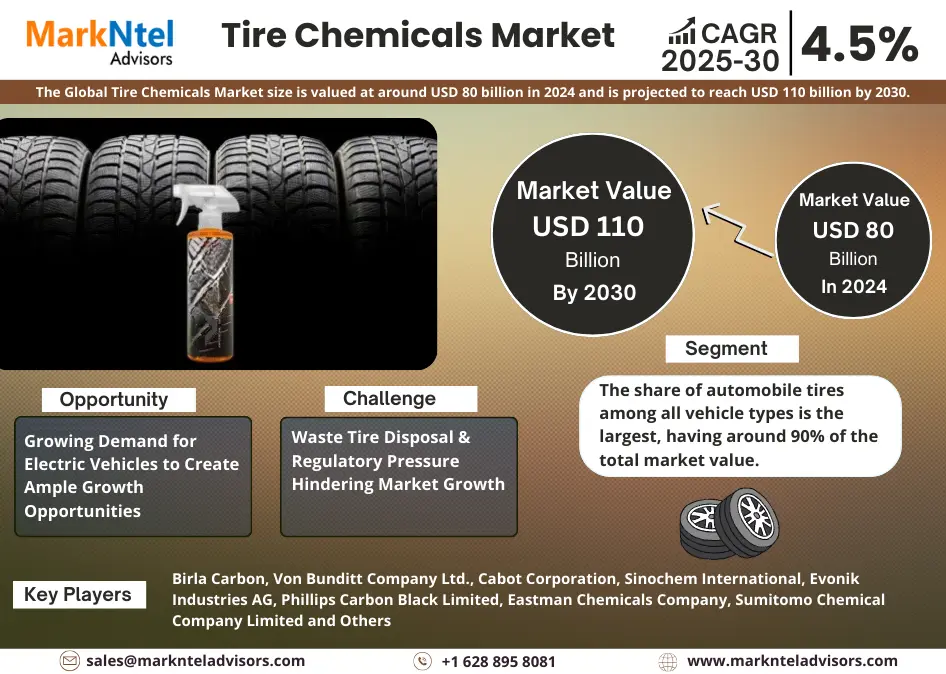 Global Tire Chemicals Market Research Report Forecast (2025-2030)
