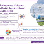 Global Underground Hydrogen Storage Market Research Report Forecast (2024-2030)