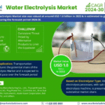 Global Water Electrolysis Market Research Report Forecast (2024-2030)