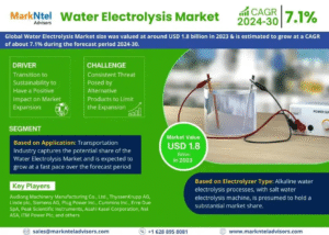 Global Water Electrolysis Market Research Report Forecast (2024-2030)