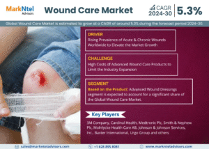 Global Wound Care Market Research Report Forecast (2024-2030)